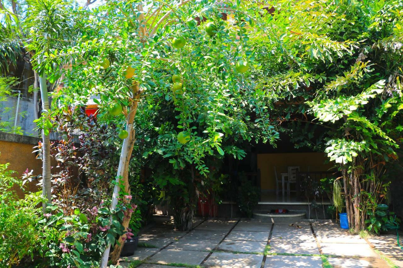 Rumah Wayans Lipah Amed Exteriér fotografie